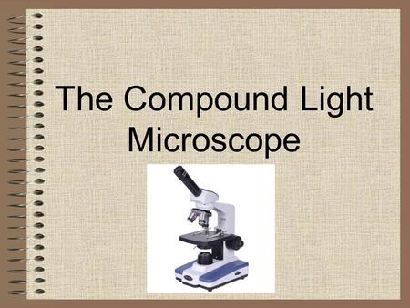 The Compound Light Microscope