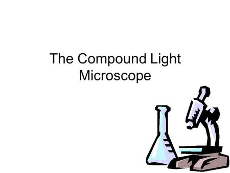 The Compound Light Microscope