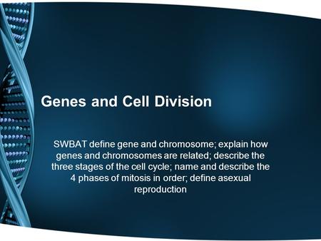 Genes and Cell Division SWBAT define gene and chromosome; explain how genes and chromosomes are related; describe the three stages of the cell cycle; name.