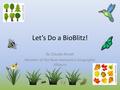 Let’s Do a BioBlitz! By Claudia Novak Member of the New Hampshire Geographic Alliance.