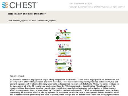 Date of download: 6/3/2016 Copyright © American College of Chest Physicians. All rights reserved. Tissue Factor, Thrombin, and Cancer * Chest. 2003;124(3_suppl):58S-68S.