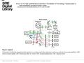 Date of download: 6/3/2016 Copyright © 2016 SPIE. All rights reserved. Schematic of intravital imaging system based on a custom-built video-rate laser.