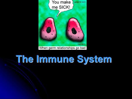 The Immune System. Basic Vocab. ___________- any change that disrupts the normal functions of the body. ___________- any change that disrupts the normal.