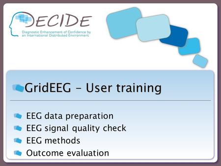 GridEEG – User training