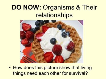 DO NOW: Organisms & Their relationships How does this picture show that living things need each other for survival?