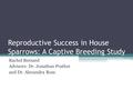 Reproductive Success in House Sparrows: A Captive Breeding Study Rachel Bernard Advisors: Dr. Jonathan Prather and Dr. Alexandra Rose.