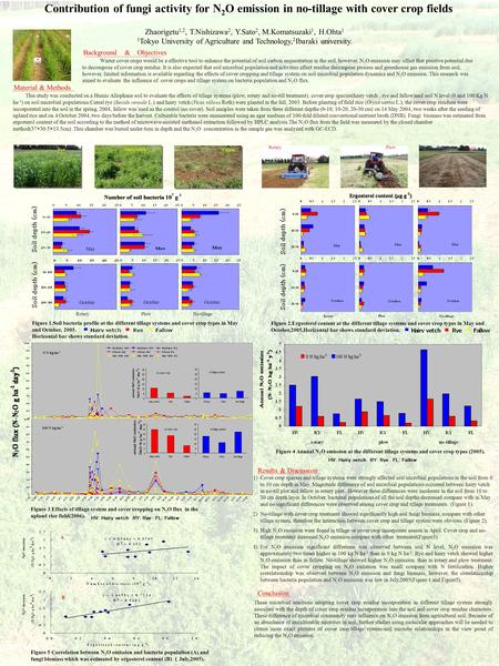 Contribution of fungi activity for N 2 O emission in no-tillage with cover crop fields Zhaorigetu 1,2, T.Nishizawa 2, Y.Sato 2, M.Komatsuzaki 1, H.Ohta.