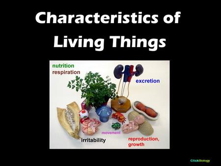 ClickBiology Characteristics of Living Things. ClickBiology You will need to be able to: List and define the characteristics of living organisms.