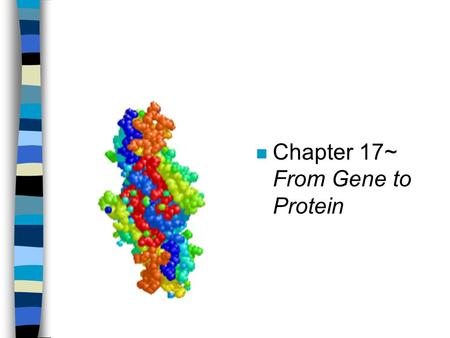 N Chapter 17~ From Gene to Protein. Protein Synthesis: overview n One gene-one enzyme hypothesis (Beadle and Tatum) –The function of a gene is to dictate.