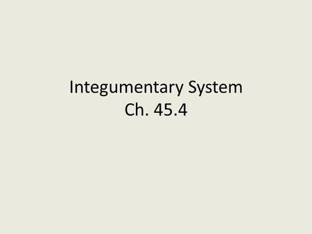 Integumentary System Ch. 45.4. Functions of the Skin: 1. Prevent water loss. 2. Protects from injury & infection. 3. Helps to regulate body temperature.