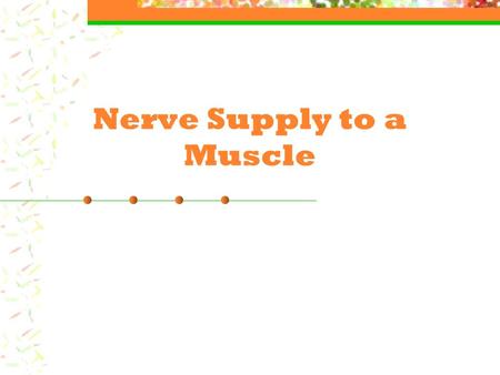 Nerve Supply to a Muscle. Nerve Supply Motor Neuron: Nerve that stimulates a muscle cell. A single nerve (motor neuron) will supply approximately 150.