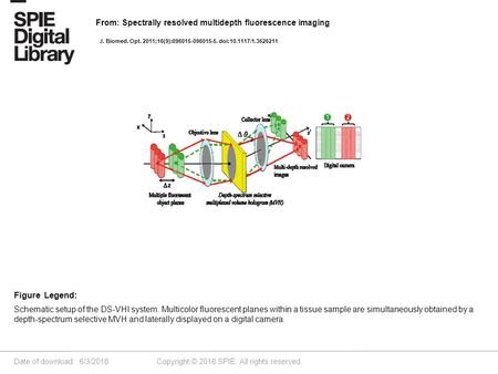 Date of download: 6/3/2016 Copyright © 2016 SPIE. All rights reserved. Schematic setup of the DS-VHI system. Multicolor fluorescent planes within a tissue.