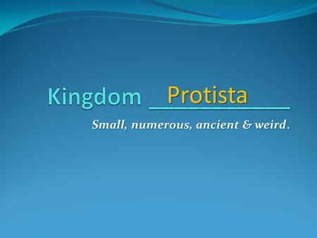 Small, numerous, ancient & weird. Protista. The “junk drawer” of kingdoms _______________of characteristics Some are so ________ they can’t be seen without.