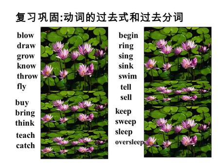 复习巩固 : 动词的过去式和过去分词 blow blew blown draw drew drawn grow grew grown know knew known throw threw thrown fly flew flown buy bought bought bring brought brought.