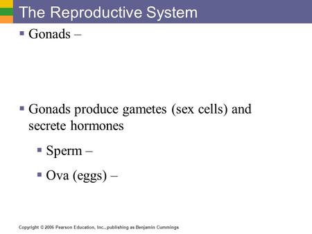 Copyright © 2006 Pearson Education, Inc., publishing as Benjamin Cummings The Reproductive System  Gonads –  Gonads produce gametes (sex cells) and secrete.