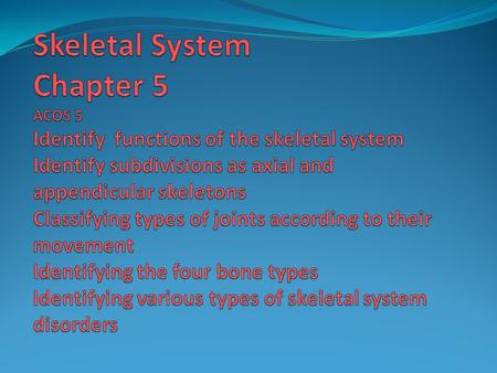 Functions of the Human Skeleton Support and protect body organs Provide movement Contain red marrow, the site of blood cell production Stores calcium,