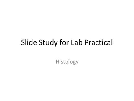 Slide Study for Lab Practical