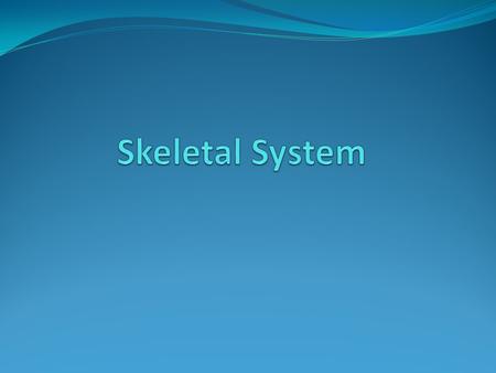 Opener: How do you maintain strong bones throughout your life? (Hint): There are two different things you need to do. Remember to write at least three.