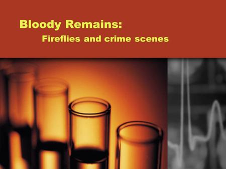 Bloody Remains: Fireflies and crime scenes Blood and Crime blood When you think about a crime, you usually visualize bloody walls, floor, and maybe even.