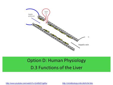 Option D: Human Physiology D.3 Functions of the Liver