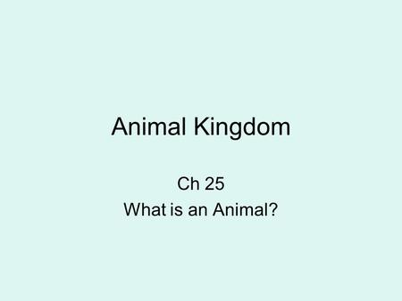 Animal Kingdom Ch 25 What is an Animal?. Important Animal Facts Animal Kingdom can be split up into main groups, vertebrates (with a backbone) and invertebrates.