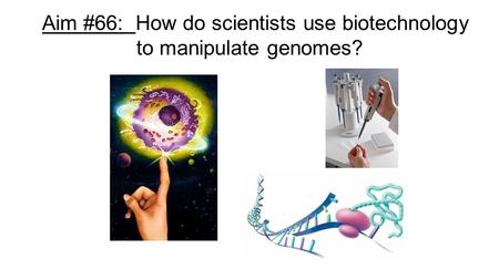 Aim #66: How do scientists use biotechnology to manipulate genomes?