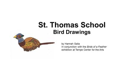 St. Thomas School Bird Drawings by Hannah Salia In conjunction with the Birds of a Feather exhibition at Tempe Center for the Arts.