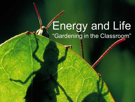 Energy and Life “Gardening in the Classroom”. Energy: “Ability to do Work” All devices need energy to do work. Most store energy in a rechargeable battery.