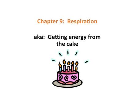 Chapter 9: Respiration aka: Getting energy from the cake.