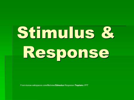 Stimulus & Response From ksnow.wikispaces.com/file/view/Stimulus-Response-Tropisms.PPT.