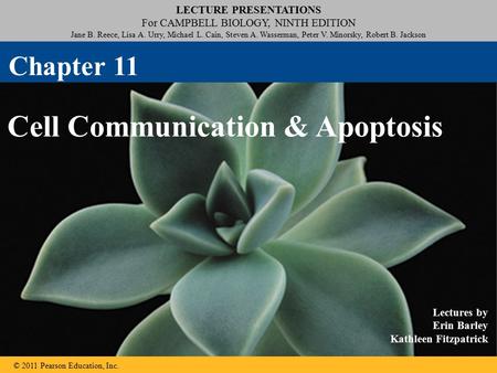 LECTURE PRESENTATIONS For CAMPBELL BIOLOGY, NINTH EDITION Jane B. Reece, Lisa A. Urry, Michael L. Cain, Steven A. Wasserman, Peter V. Minorsky, Robert.