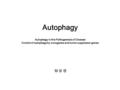 Autophagy 엄 상 경 Autophagy in the Pathogenesis of Disease