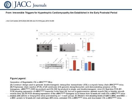 Date of download: 6/3/2016 Copyright © The American College of Cardiology. All rights reserved. From: Irreversible Triggers for Hypertrophic Cardiomyopathy.