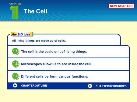 The BIG idea CHAPTER OUTLINE NEW CHAPTER The Cell CHAPTER All living things are made up of cells. The cell is the basic unit of living things. 1.1 Microscopes.