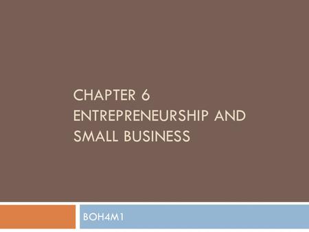 CHAPTER 6 ENTREPRENEURSHIP AND SMALL BUSINESS BOH4M1.