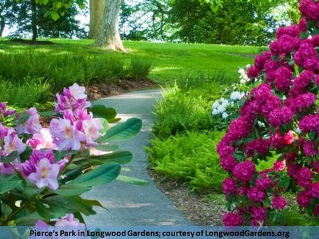 Pierce’s Park in Longwood Gardens; courtesy of LongwoodGardens.org.