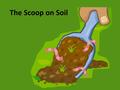 The Scoop on Soil. Of What is Soil Made? sand rocks dried plants dead organisms water air.