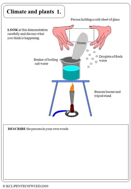 © KCL/PENTECH/WCED 2000 Day length Climate and plants Droplets of fresh water LOOK at this demonstration carefully and discuss what you think is happening.