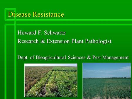 Disease Resistance Howard F. Schwartz Research & Extension Plant Pathologist Dept. of Bioagricultural Sciences & Pest Management.