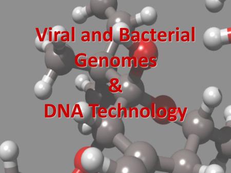 Viral and Bacterial Genomes & DNA Technology. Viruses Tiny; much smaller than a bacteria Basic structure: – Nucleic acid (DNA or RNA) enclosed in a protein.