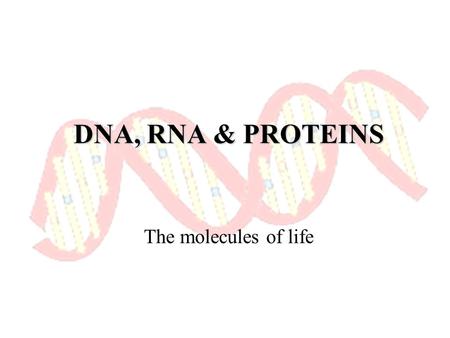 DNA, RNA & PROTEINS The molecules of life. DNA Deoxyribonucleic Acid (DNA) is the blueprint for life: