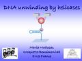 DNA unwinding by helicases Maria Mañosas Croquette-Bensimon lab ENS France.