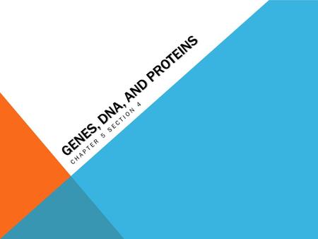 GENES, DNA, AND PROTEINS CHAPTER 5 SECTION 4. THE GENETIC CODE Review Question: What do you remember about DNA?