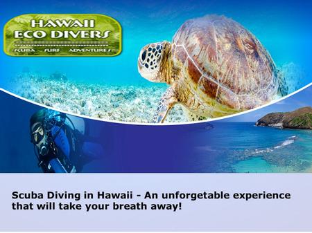 Scuba Diving in Hawaii - An unforgetable experience that will take your breath away!