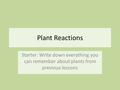 Plant Reactions Starter: Write down everything you can remember about plants from previous lessons.