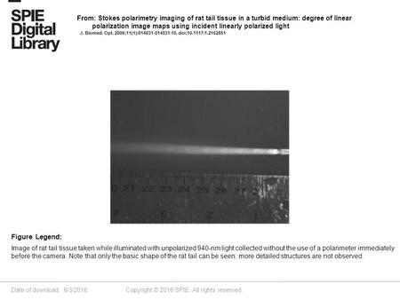 Date of download: 6/3/2016 Copyright © 2016 SPIE. All rights reserved. Image of rat tail tissue taken while illuminated with unpolarized 940-nm light collected.