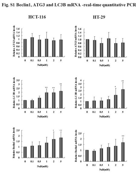 Fig. S1 Beclin1, ATG3 and LC3B mRNA -real-time quantitative PCR HCT-116 HT-29.