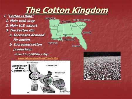 The Cotton Kingdom I. “Cotton is King” 1. Main cash crop 1. Main cash crop 2. Main U.S. export 2. Main U.S. export 3. The Cotton Gin 3. The Cotton Gin.