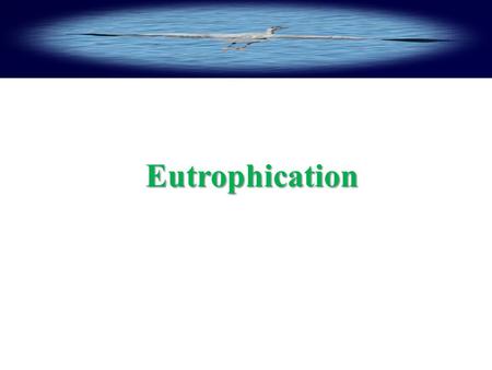 Eutrophication Eutrophication.  What is Eutrophication?  Step by step Eutrophication process  Effects on water quality, treatment costs, compliance.