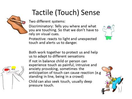 Tactile (Touch) Sense Two different systems: Discriminatory: Tells you where and what you are touching. So that we don’t have to rely on visual cues. Protective: